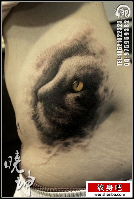 女人腰部时髦的猫咪纹身
