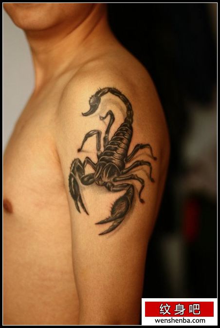 男性手臂时髦权威的蝎子纹身