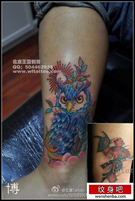 女人腿部时髦漂亮的彩色猫头鹰纹身