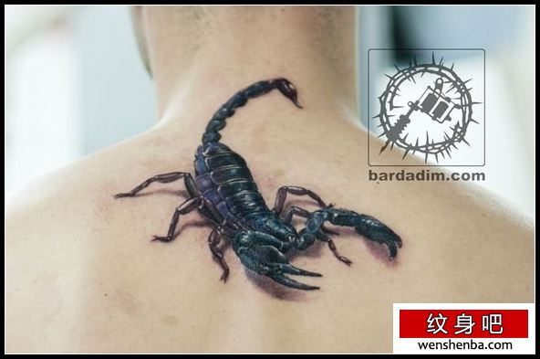 男性背部权威写实的蝎子纹身