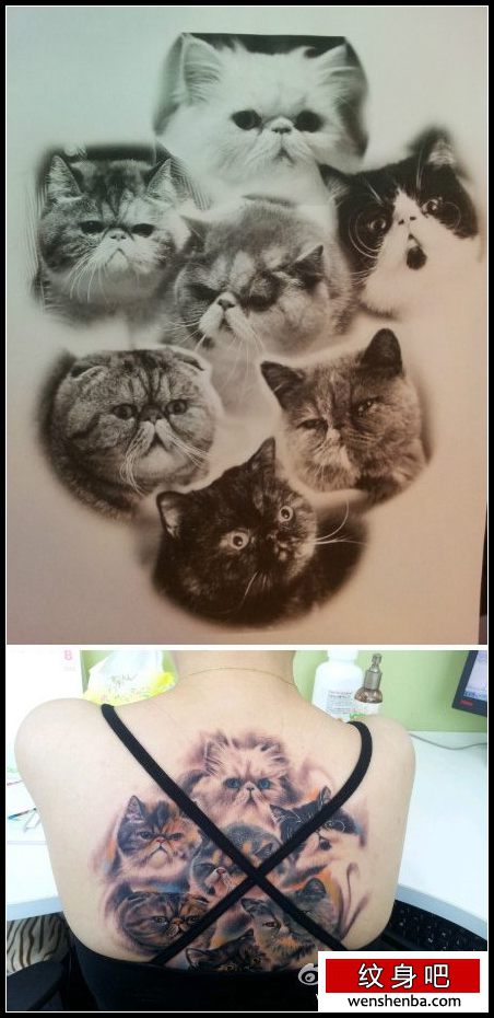 女人背部可爱时髦的猫咪纹身
