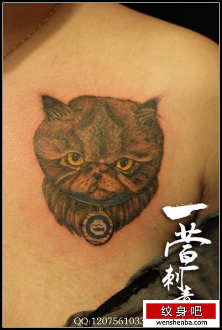 女人胸部呆呆的猫咪纹身