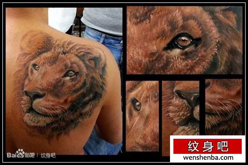 男性肩背帅气超酷的彩色狮头纹身