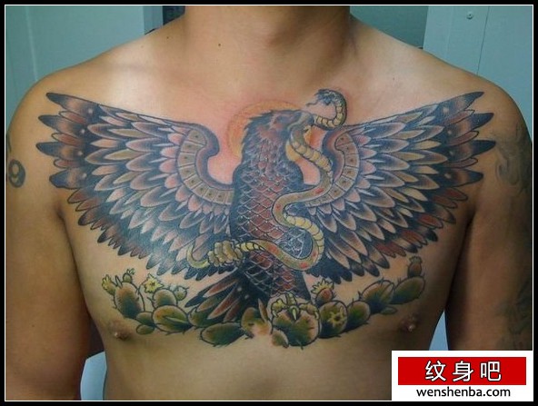 男性前胸old school老鹰纹身