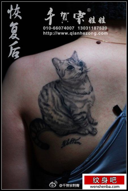 女人背部时髦可爱的猫咪纹身
