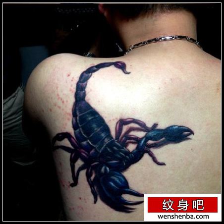 男性肩背超酷的蝎子纹身