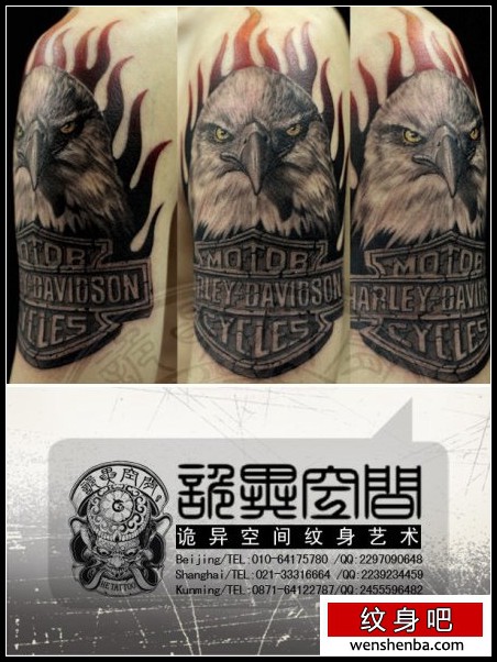 男性手臂超酷的老鹰纹身