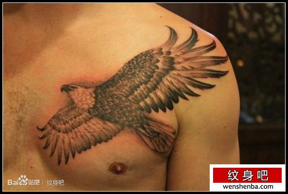 男性胸前超酷的老鹰纹身