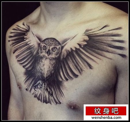 男性前胸超酷权威的黑灰猫头鹰纹身