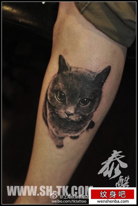 男性腿部权威的黑灰猫咪纹身