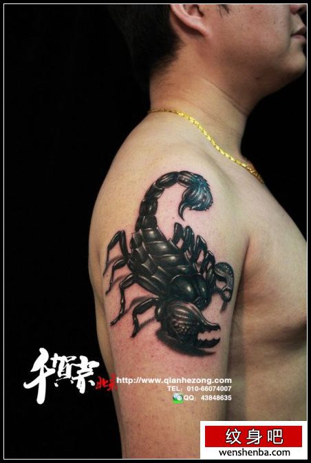 手臂超酷帅气的蝎子纹身