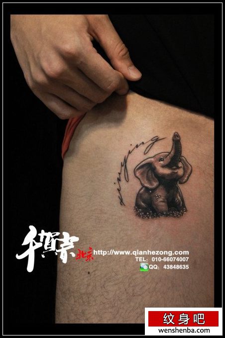 腿部前卫可爱的小象纹身