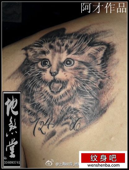男性后肩背可爱的猫咪纹身
