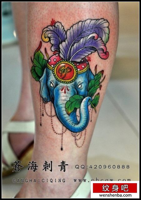 女人腿部漂亮个性的大象纹身