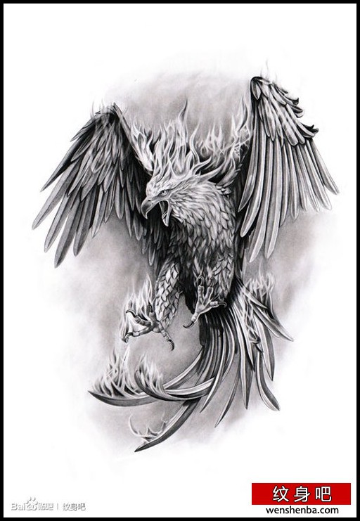 超酷时尚的黑灰老鹰纹身手稿