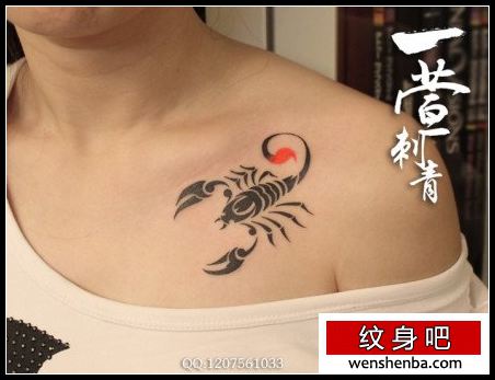 女人前胸权威个性的图腾蝎子纹身