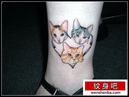 女人腿部可爱可爱的猫咪纹身