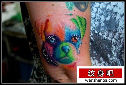 手臂个性权威的一枚彩色小狗纹身