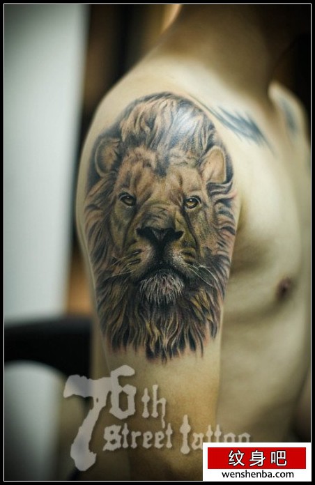 男性手臂时尚的彩色狮头纹身