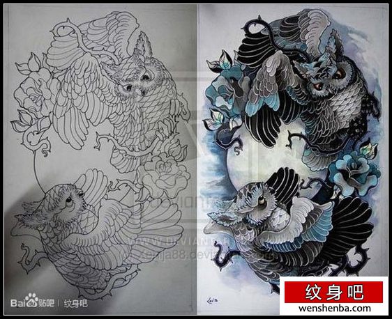 很帅个性的猫头鹰纹身手稿