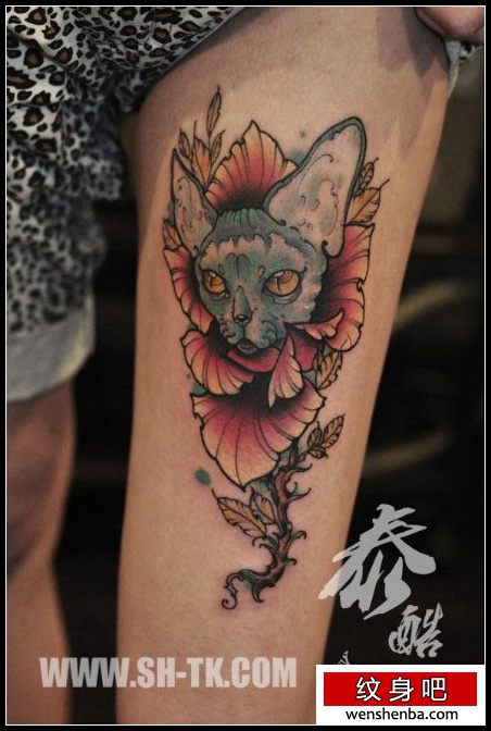 女人腿部时髦时髦的猫咪与花卉纹身
