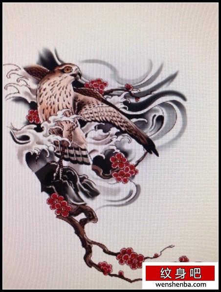 的一枚雀鹰纹身手稿