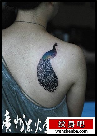 女人肩背个性时髦的孔雀纹身