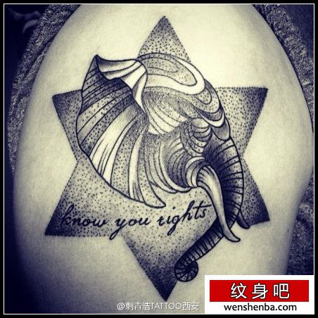 手臂时髦权威的大象纹身