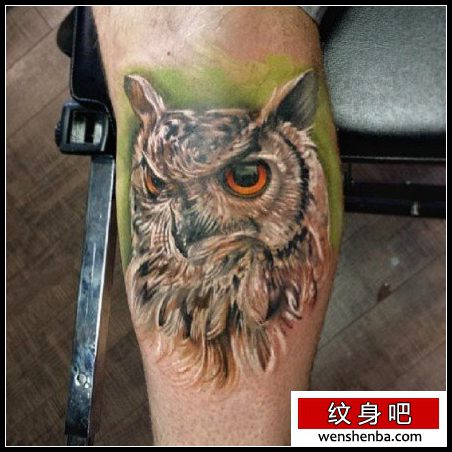 腿部个性权威的彩色猫头鹰纹身