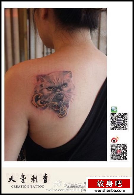 女人肩背时髦权威的猫咪纹身