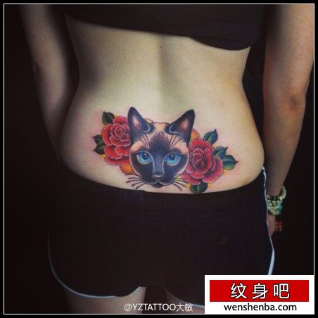 女人腰部权威时髦的一枚猫咪纹身