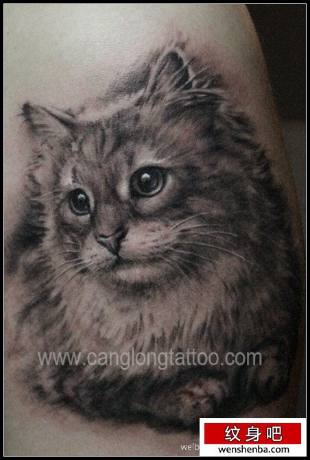时髦可爱的一枚黑灰猫咪纹身