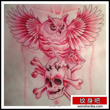 个性权威的一枚猫头鹰骷髅纹身手稿