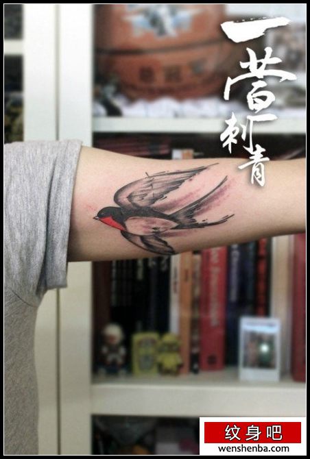 手臂时髦权威的小燕子纹身