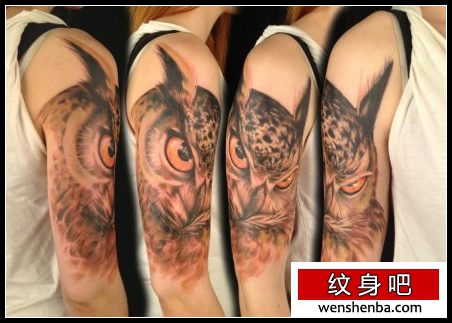 手臂权威很帅的一枚猫头鹰纹身