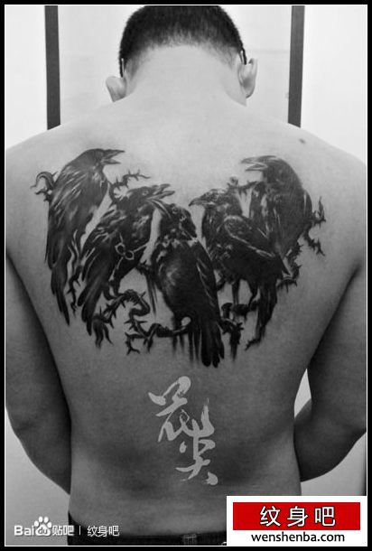 男性后背时髦很帅的乌鸦纹身