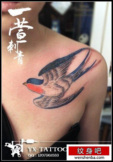 女人胸前漂亮个性的小燕子纹身