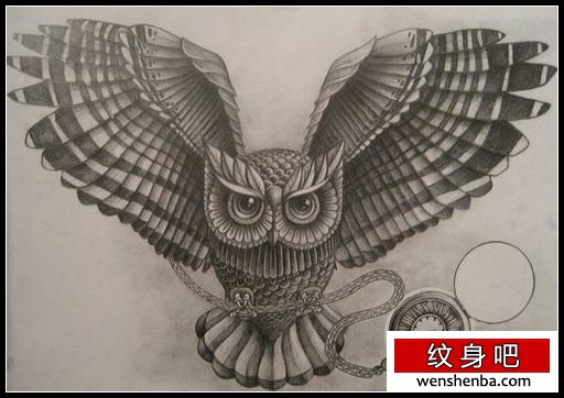 时髦很帅的一枚黑灰猫头鹰纹身手稿