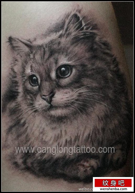 介绍一枚可爱小猫咪纹身