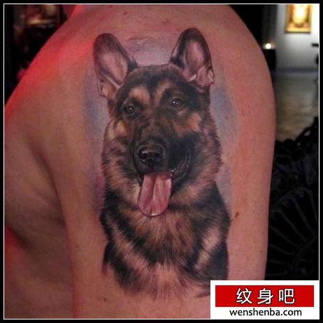 介绍一枚大臂上的德牧犬纹身