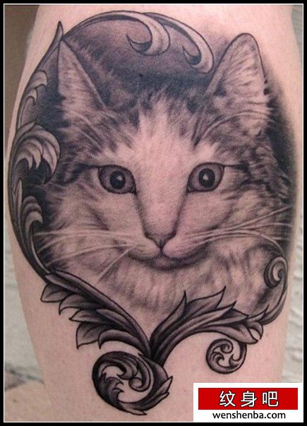 介绍一枚可爱的猫咪纹身