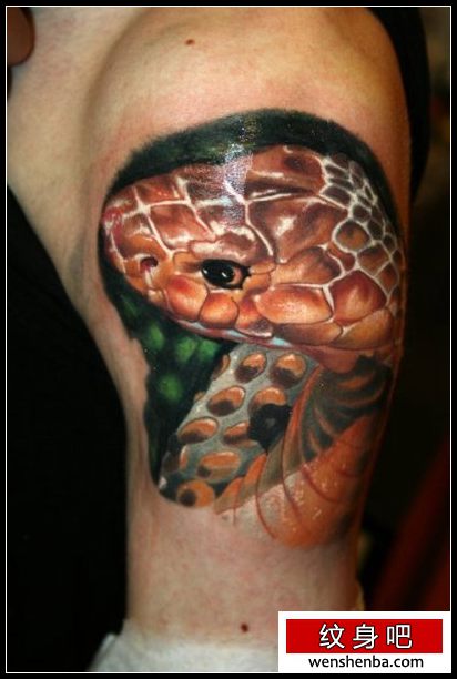 大臂上一枚非常逼真的蛇纹身分享