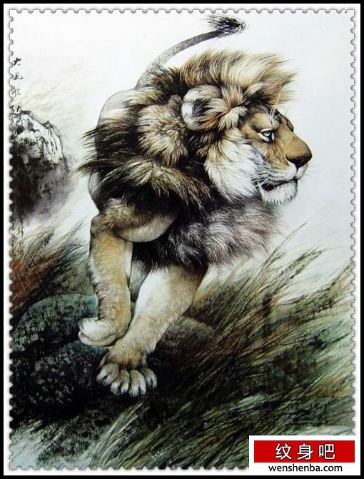 介绍一枚狮子纹身手稿