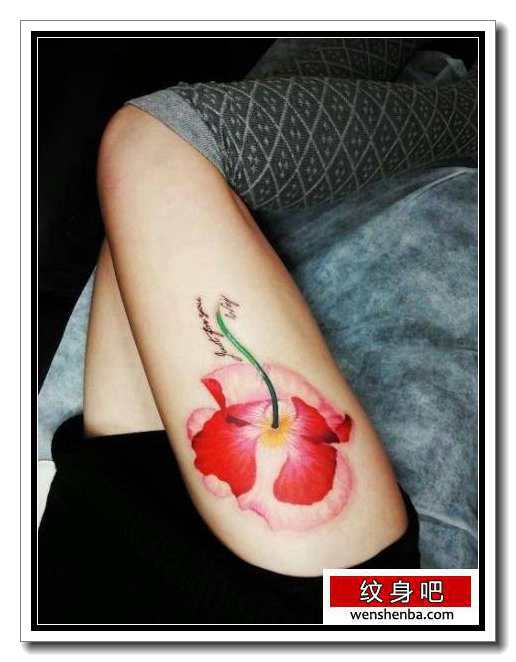 靓女腿部漂亮的彩色罂粟花纹身