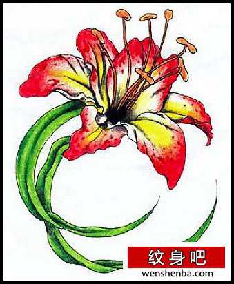 花卉纹身彩色百合纹身