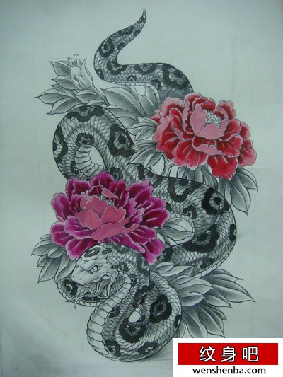 蛇与牡丹手稿纹身图案