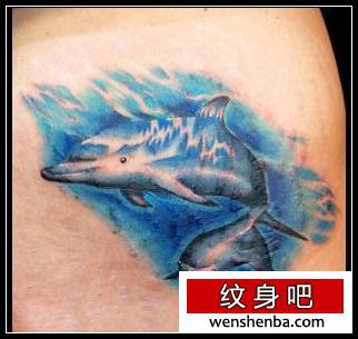 可爱的海豚纹身