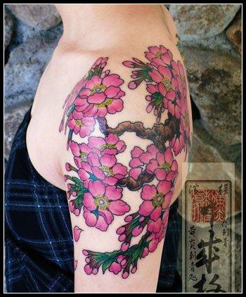 一张日本靓女肩部彩色樱花纹身