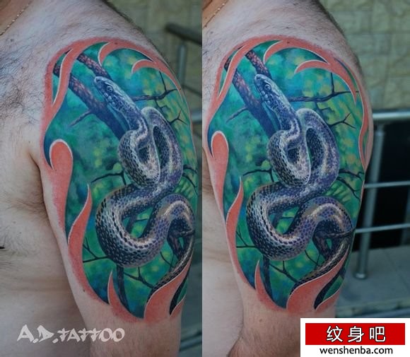 男性手臂精时髦超酷的欧美彩色蛇纹身