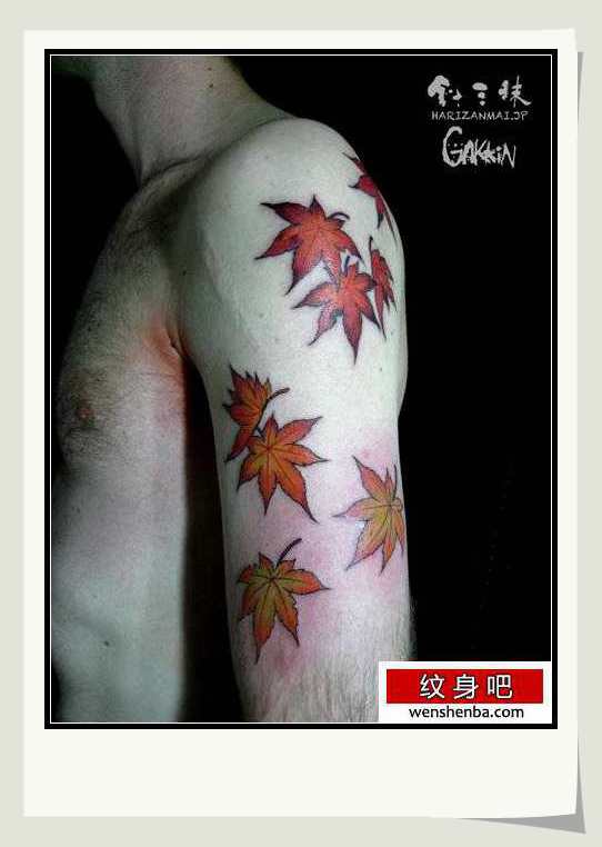 男性手臂时髦的枫叶纹身